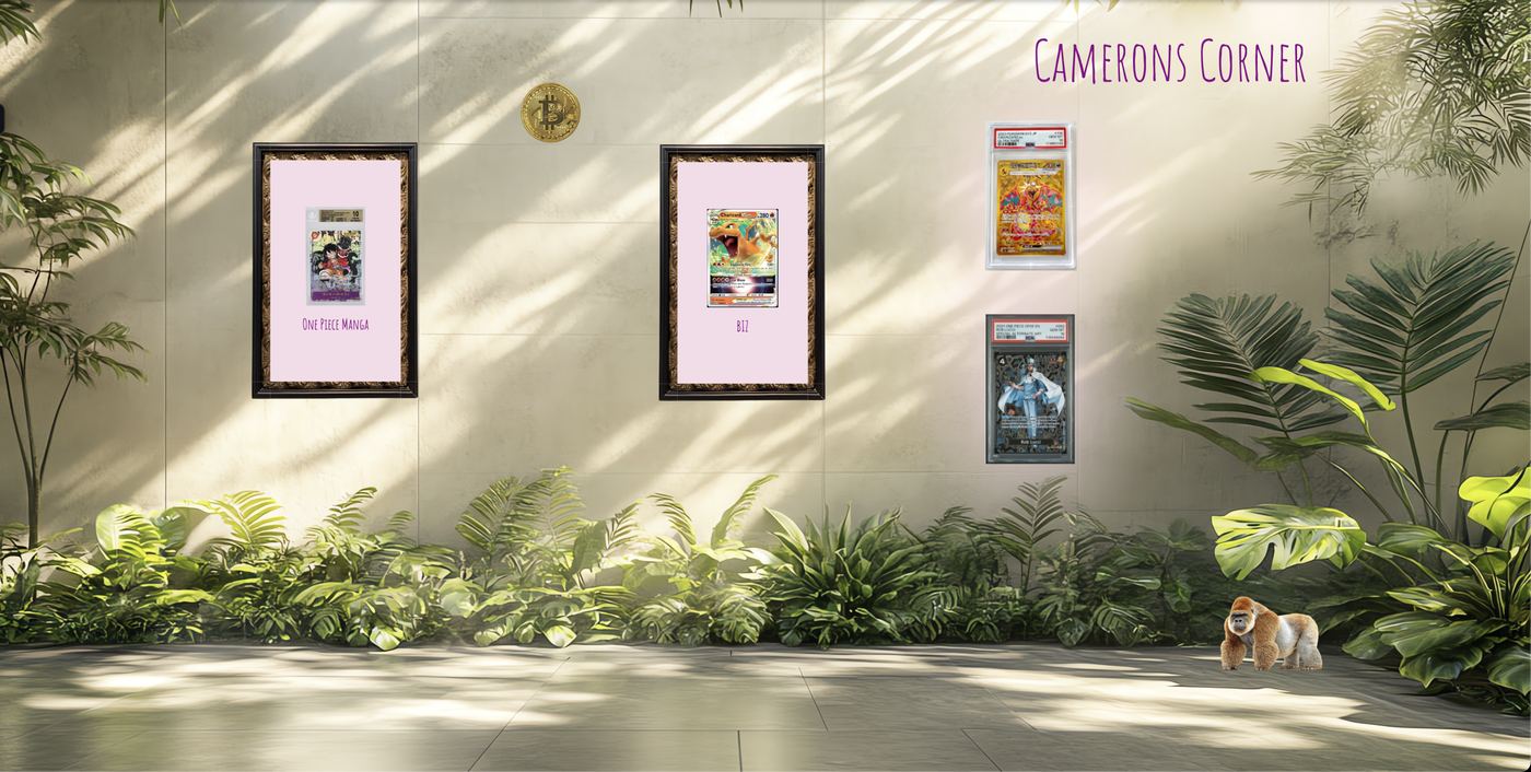 Camerons Corner